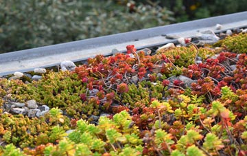 the cost of Barne Barton green roof installation