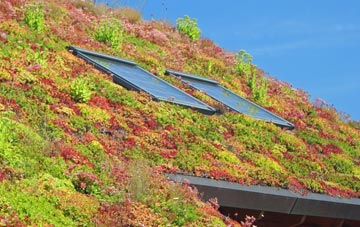Barne Barton living roof systems