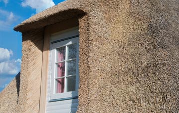 Barne Barton thatch roof disadvantages